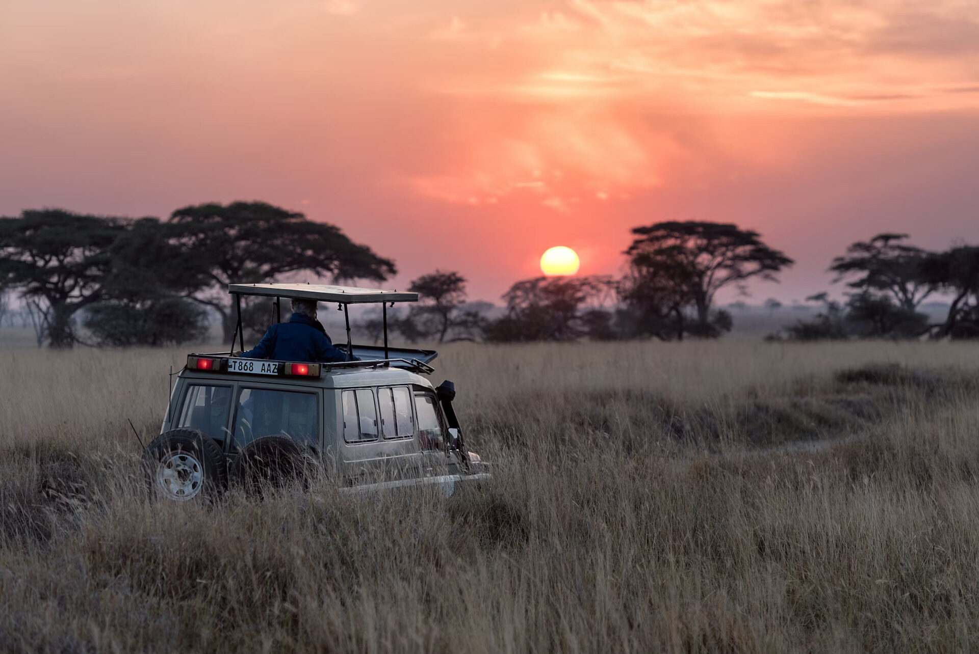 Safari i Tanzania