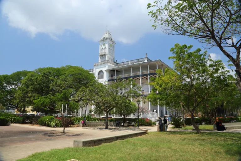 Omfattende erfaring med å reise til Zanzibar