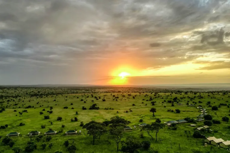Serengeti nasjonalpark